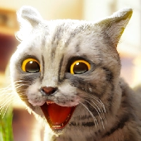 صورة للعبة Cat Simulator 2 [Money mod]