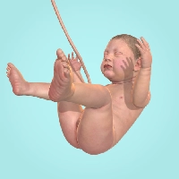 صورة للعبة 9 Months [Lots of diamonds]