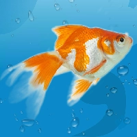 صورة للعبة AquaLife 3D [Mod Money]