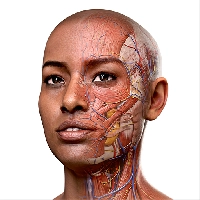 صورة لعبة Complete Anatomy 2022