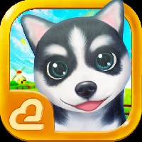 صورة للعبة Hi Puppies2
