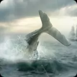 صورة للعبة Moby Dick Wild Hunting [Mod Money/Adfree]