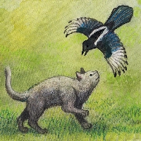 صورة للعبة Milo and the Magpies