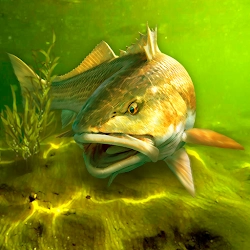 صورة للعبة My Fishing World  Realistic fishing [Unlocked]