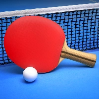 صورة للعبة Ping Pong Fury
