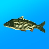 صورة للعبة True Fishing Fishing simulator [unlocked/Mod Money]