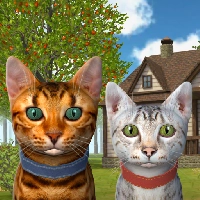 صورة للعبة Cat Simulator 2020 [Mod Money/Adfree]