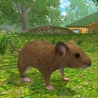 صورة للعبة Mouse Simulator [No Ads]