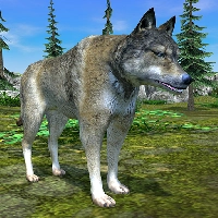 صورة للعبة Wolf Simulator Evolution [Mod Money]
