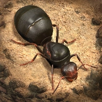صورة للعبة The Ants Underground Kingdom