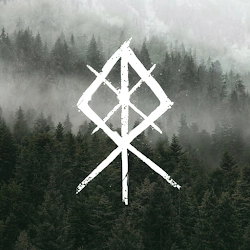 صورة للعبة Viking Rise