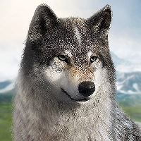 صورة للعبة Wolf Game The Wild Kingdom