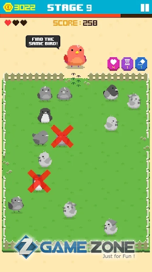 صورة من لعبة Find Bird