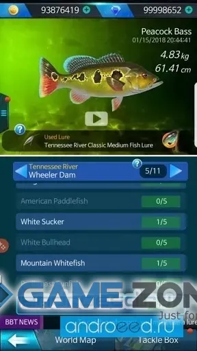 صورة من لعبة Fishing Hook : Bass Tournament [Много денег]