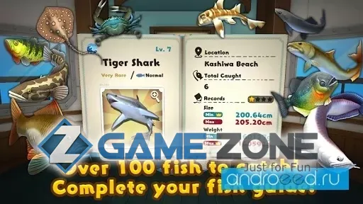 صورة من لعبة Fishing Star VR