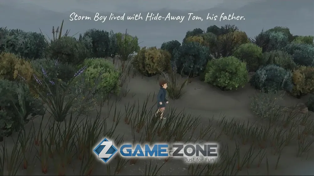 صورة من لعبة Storm Boy