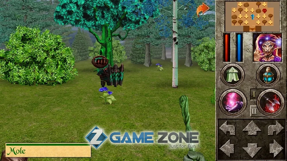 صورة من لعبة The Quest - Hero of Lukomorye IV