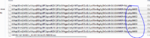 Capture.PNG