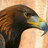 waleed3sa