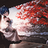 fallenclash