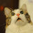 Elnur